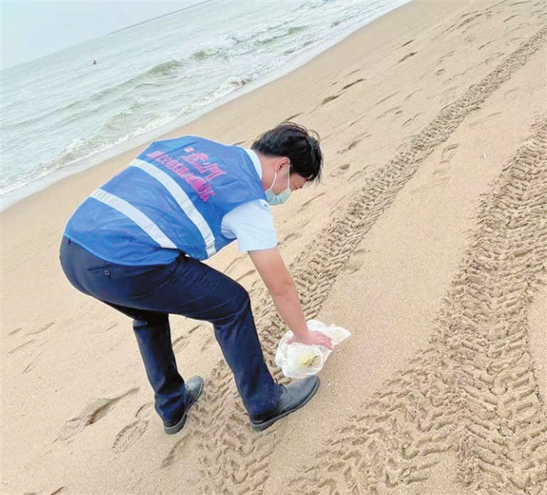 清理垃圾保護海灘“藍馬甲”守護海岸線